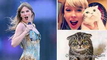 Taylor Swift's beloved cats face Government crackdown!