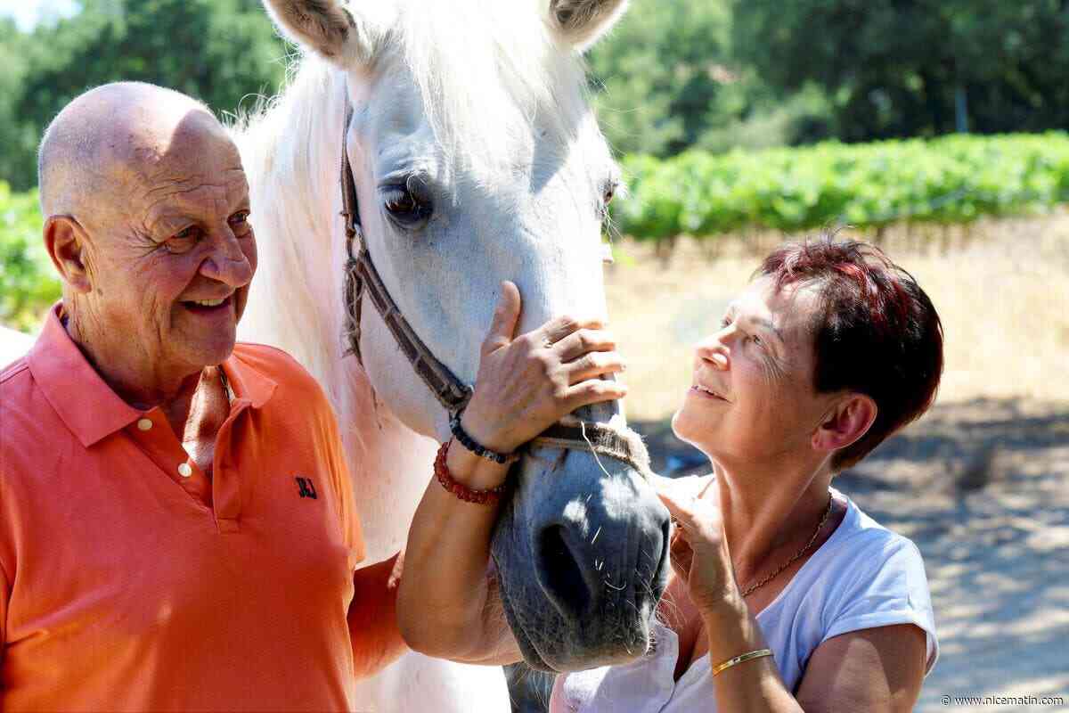 « Nous avons décidé de faire tout notre possible pour sauver Palacino » : le combat sans répit de ce couple pour soigner leur cheval à Grimaud