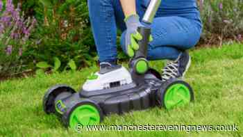 'I am old and have arthritis in my wrists': £120 lawnmower praised by older shoppers