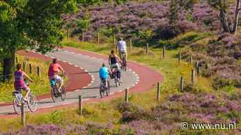 Voor verbetering van de natuur is meer nodig dan alleen minder stikstof