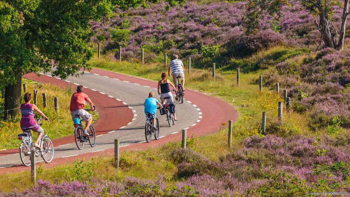 Voor verbetering van de natuur is meer nodig dan alleen minder stikstof