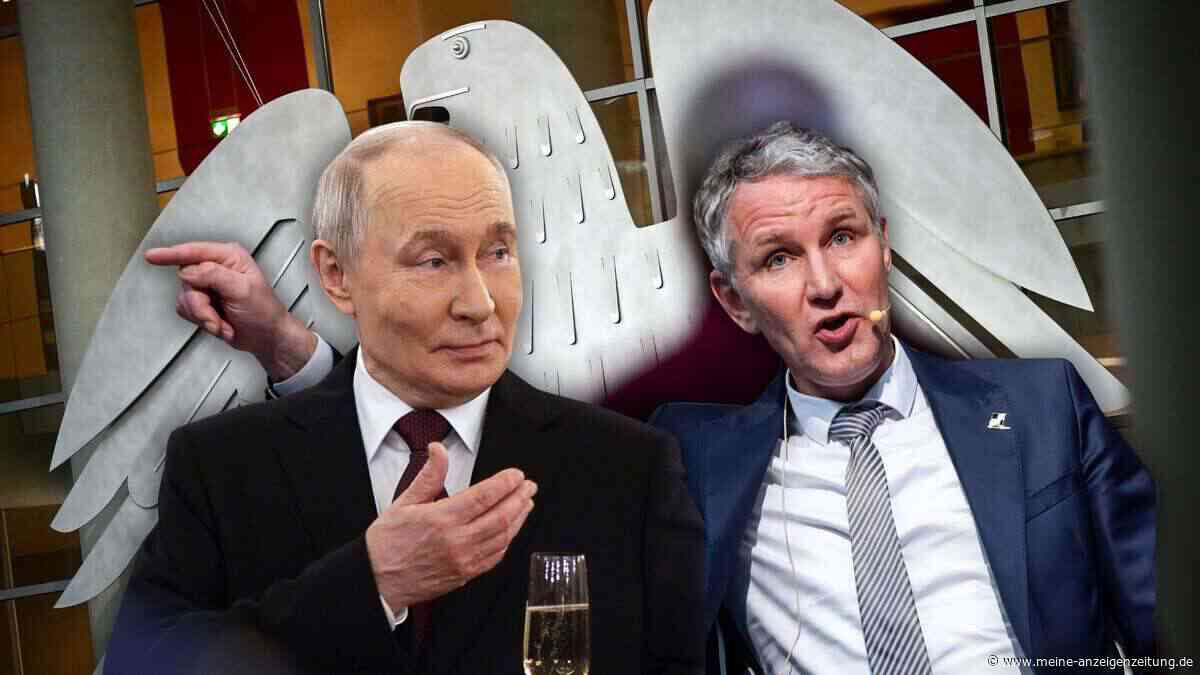 In Zeiten von AfD und Putin: „Wind aus den Segeln nehmen“ – Expertinnen erklären Plan gegen autoritäre Tricks