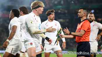Innocent England star booed by Springbok crowd after Henry Pollock mix-up