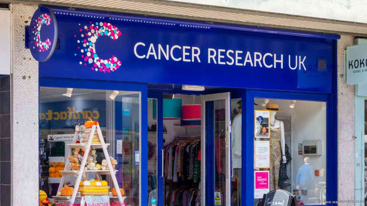 Woman discovers charity shop 'find of the century' but some say it 'isn't real'