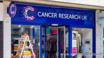 Woman discovers charity shop 'find of the century' but some say it 'isn't real'