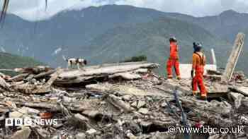 Two sniffer dogs search 500 buildings in quake zone