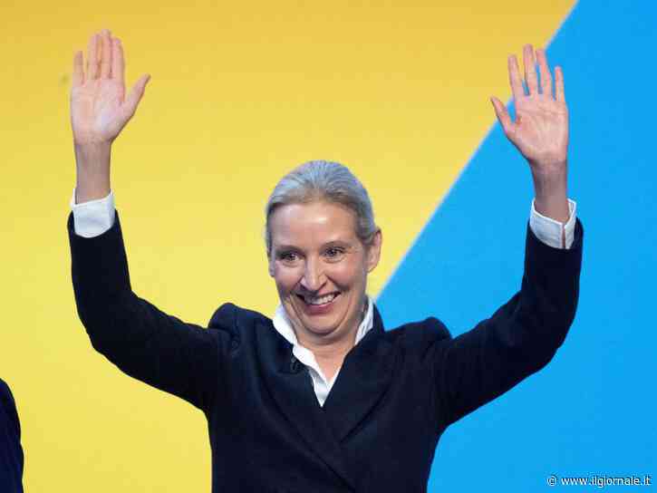 L'AfD lancia la sfida: "Guariremo noi la Germania"