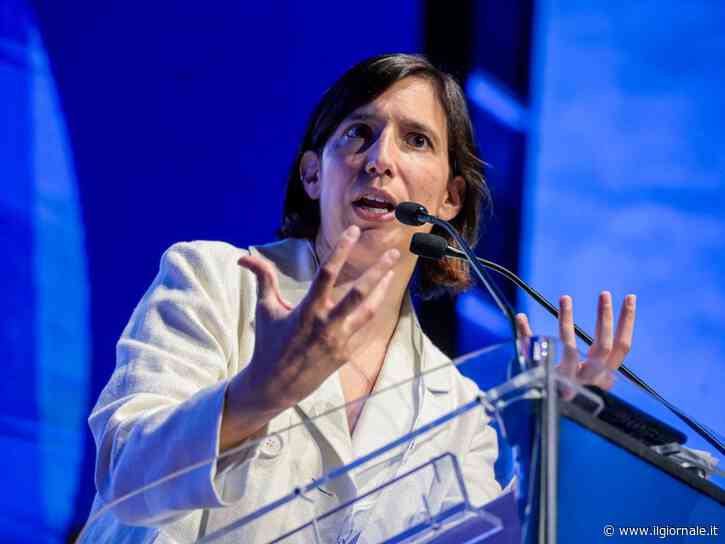 Le ricette economiche farlocche di Elly