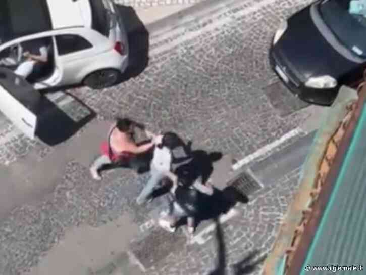 "Aggredita per strada per il mio ruolo politico": la denuncia di Katia Iorio, consigliera comunale di Casalnuovo