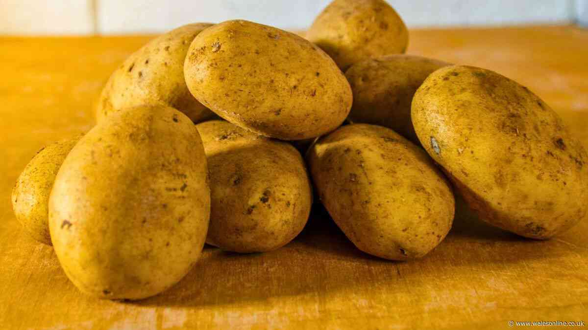 Potatoes will stay edible for longer without rotting if stored inside a common household item