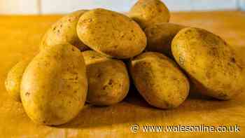 Potatoes will stay edible for longer without rotting if stored inside a common household item