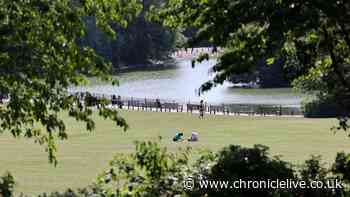 The North East family park with shaded walks, top coffee and stunning white peacock