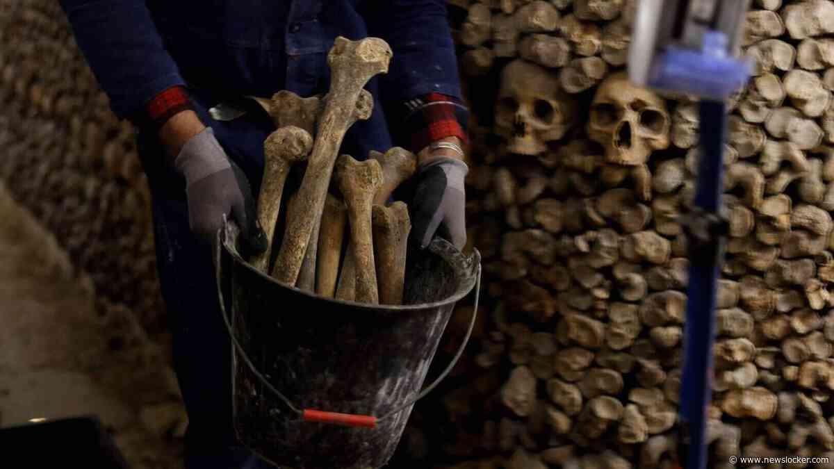 Duitse familie vindt meer dan duizend menselijke botten in macabere tuin