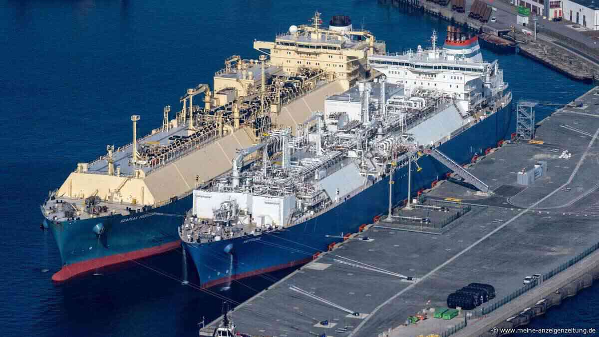 EU ohne Russland-Gas: Wie Deutschland seine Versorgung neu aufstellt