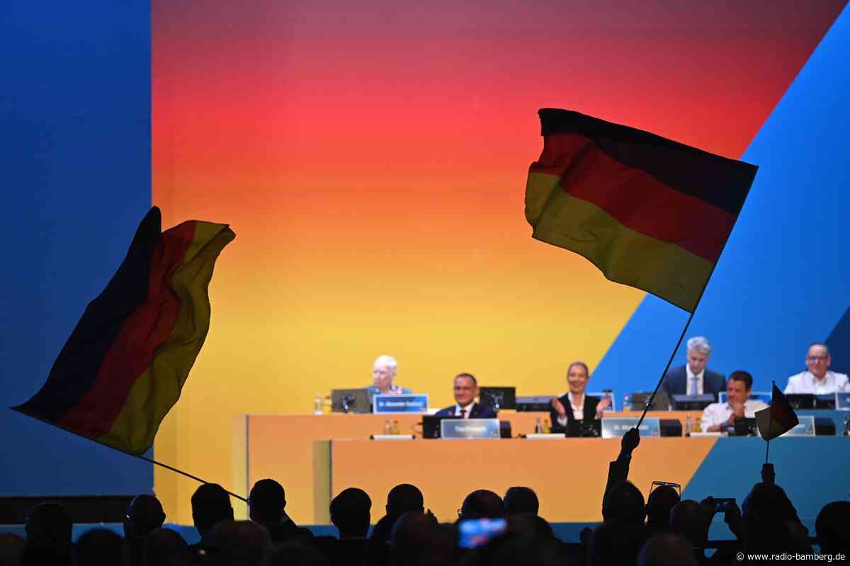 Acht Erkenntnisse aus dem AfD-Parteitag