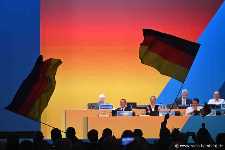 Acht Erkenntnisse aus dem AfD-Parteitag