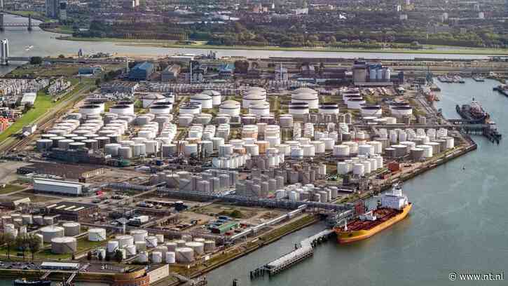 Rechter zet streep door ontslag 'passieve' manager in Rotterdamse haven