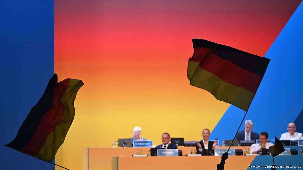 Acht Erkenntnisse aus dem AfD-Parteitag