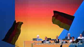 Acht Erkenntnisse aus dem AfD-Parteitag