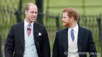 Prince William 'will have measure of sympathy' for Harry amid UK security battle