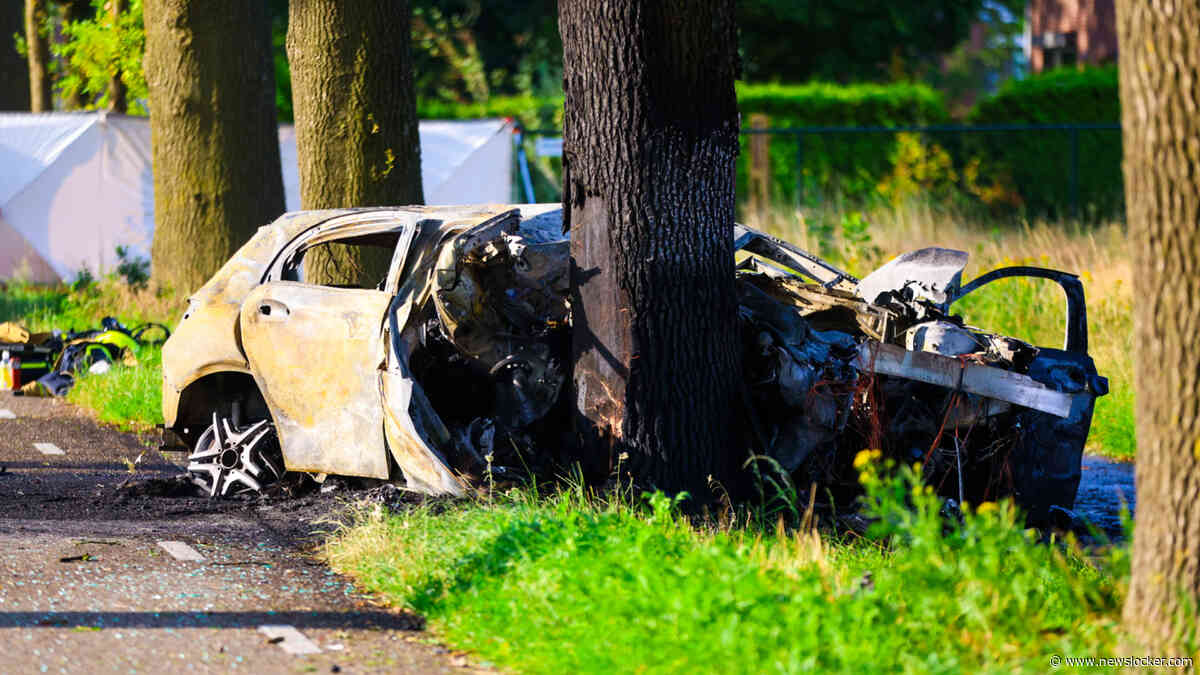 Kind overlijdt na ernstig ongeluk op A13, ook twee doden bij crash tegen boom in Brabant