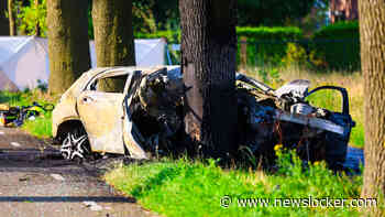 Kind overlijdt na ernstig ongeluk op A13, ook twee doden bij crash tegen boom in Brabant