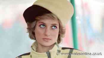 Royal fans rediscover Princess Diana's favourite perfume after her 65th birthday