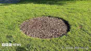 Tree in memory of children stolen from park