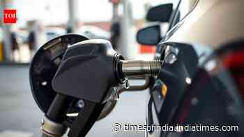 'No such proposal for exporting E20 petrol': Centre dismisses Bhutan E20 rejection claims