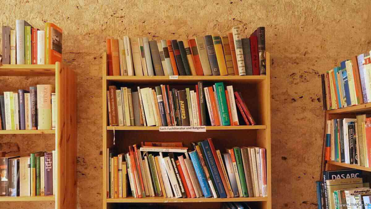 Nie wieder Staubfänger: So putzen Sie Bücherregale am besten