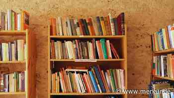 Nie wieder Staubfänger: So putzen Sie Bücherregale am besten