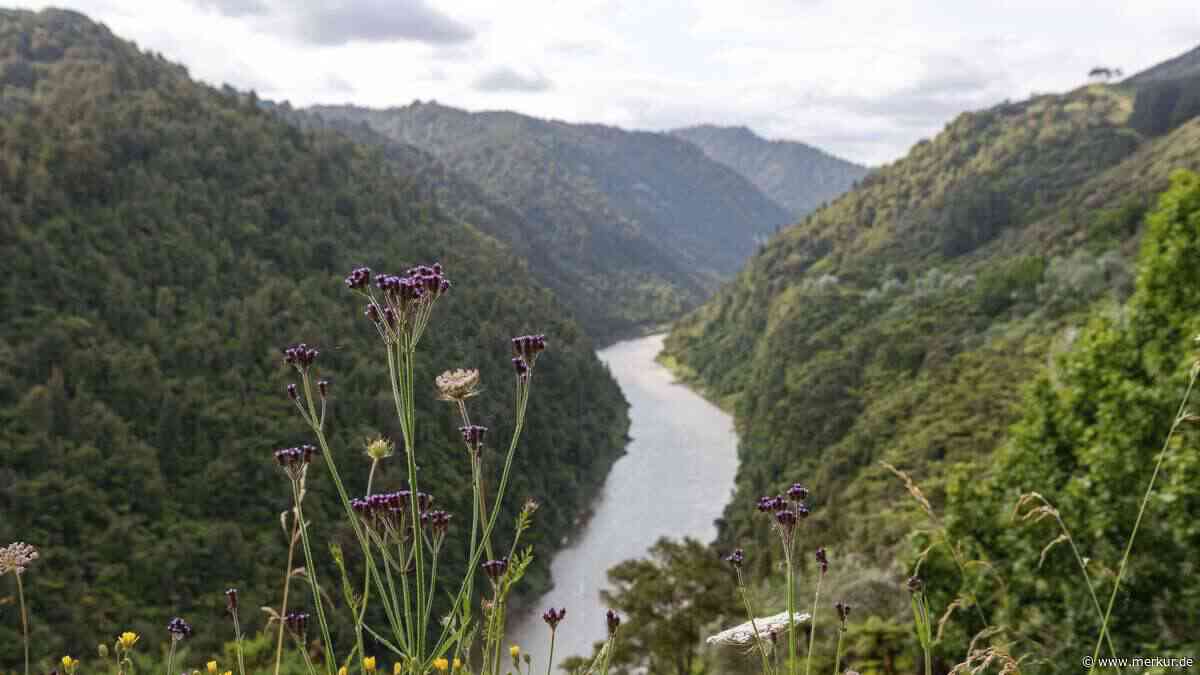 Wer ihn verschmutzt, wird einfach verklagt: Dieser Fluss kann vor Gericht ziehen