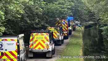 Emergency services descend on popular beauty spot