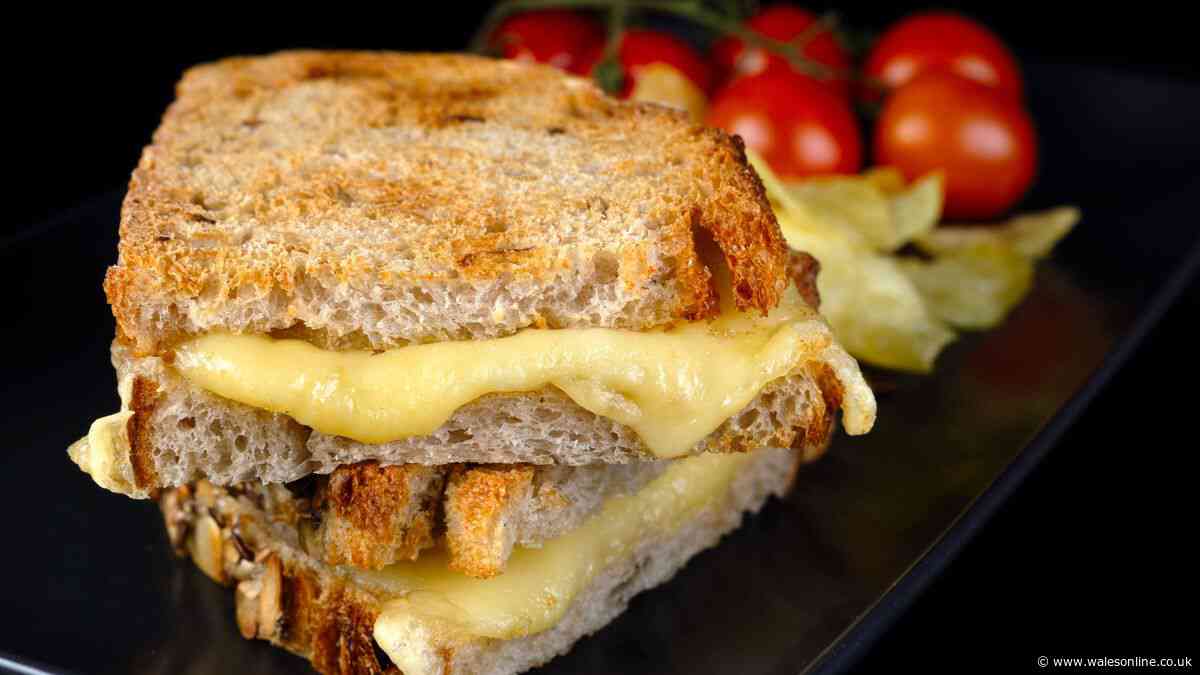 Chef says three-cheese toastie recipe is the 'best grilled cheese ever'