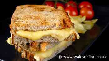 Chef says three-cheese toastie recipe is the 'best grilled cheese ever'