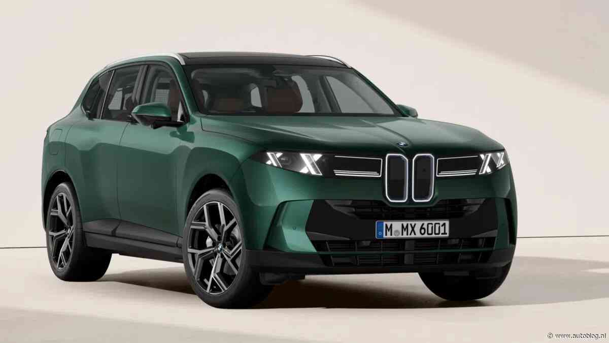 Dit is zijn de opmerkelijkste opties die je op de BMW X5 kunt kiezen