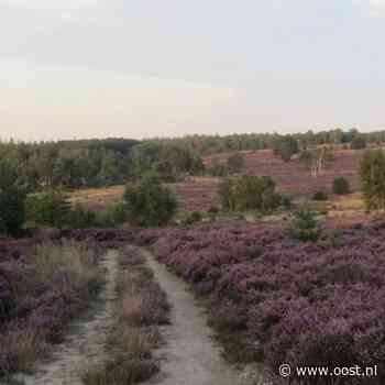 Bezoekerscentrum Sallandse Heuvelrug met sluiting bedreigd
