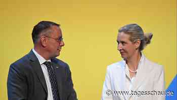Abschluss des AfD-Parteitags: "Endlich aus der Opposition in die Regierung"