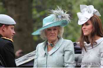 'Not Overly Warm, Not Cold': Relationship Expert Warns Prince Harry Against Relitigating Past With Queen Camilla