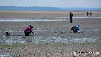 Harvesting local shellfish can be a great way to save money, but officials are warning about contamination