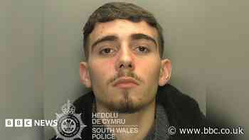 Teen high on laughing gas jailed after using car as a weapon to kill mum-of-three