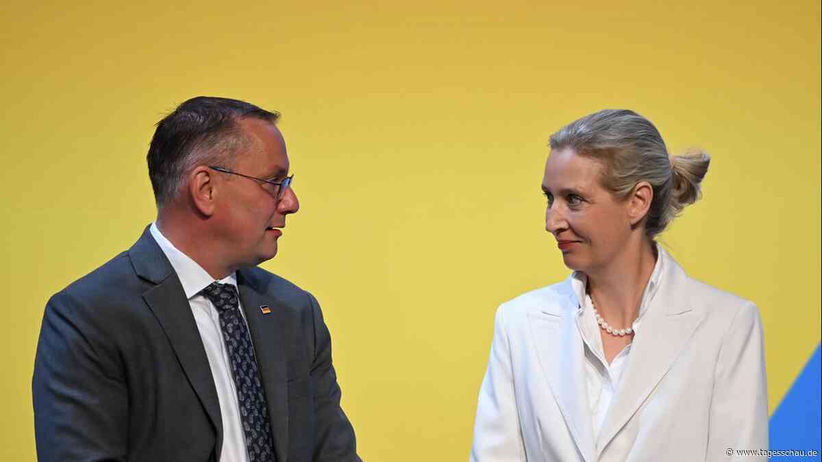 Abschluss des AfD-Parteitags: "Endlich aus der Opposition in die Regierung"