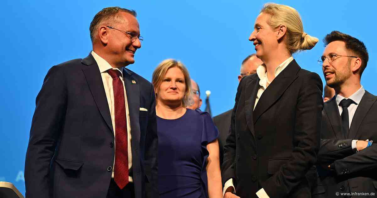 Neun Erkenntnisse aus dem AfD-Parteitag