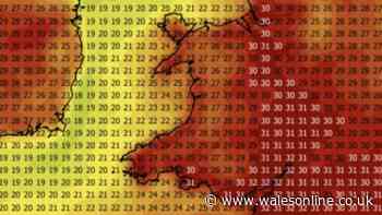 Weather maps show exact locations set to reach 30C during 'long' heatwave