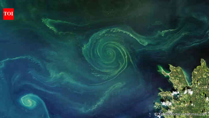 Nanobubbles Tested In Reflecting Pool: Engineers deploy ozone system; scientists eye oxygen-starved seas