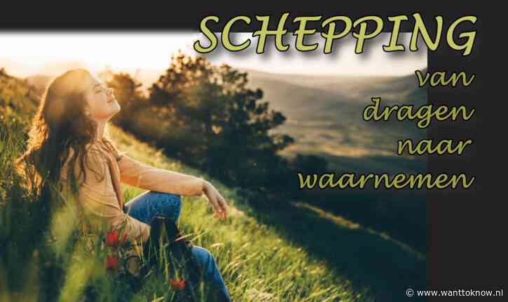 Van dragen naar waarnemen…