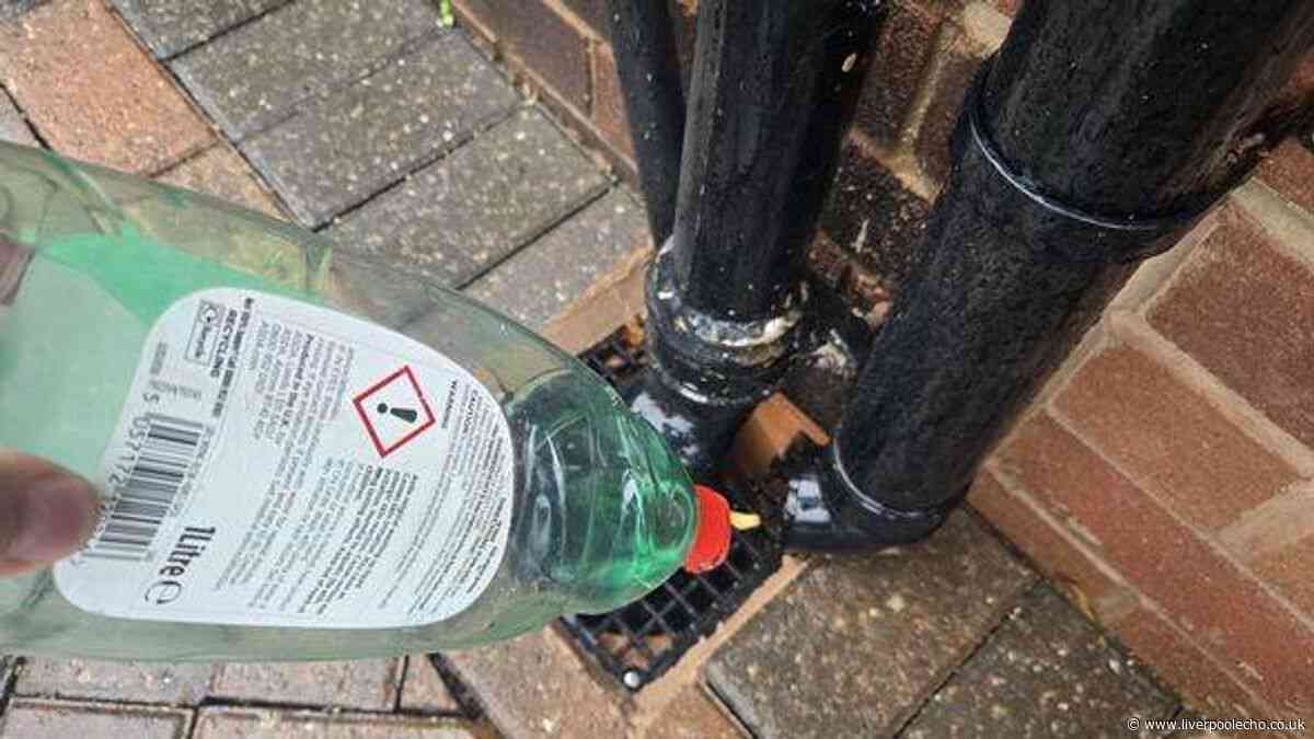 Pour washing up liquid down your drain today - here's why
