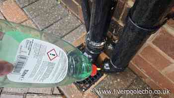 Pour washing up liquid down your drain today - here's why