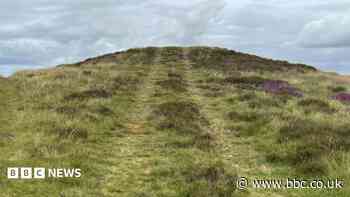 Tyre tracks on 4,000 year old Bronze Age burial mound after vehicle drives over it