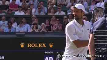 Wimbledon crowd turn on Novak Djokovic as angry moment sparks chorus of boos